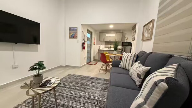 A modern living room with a grey sofa, a small side table with a plant, and a striped rug. A flat-screen TV is mounted on the wall. - A&E L.A. Rental Apartments #6 (Carolina)
