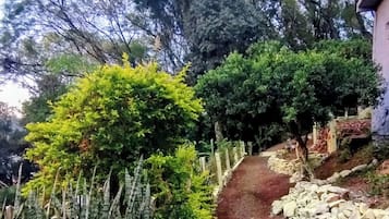 Terraço/pátio