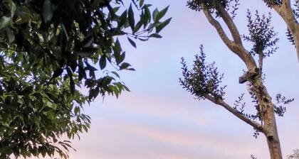 Pousada Altos da Natureza