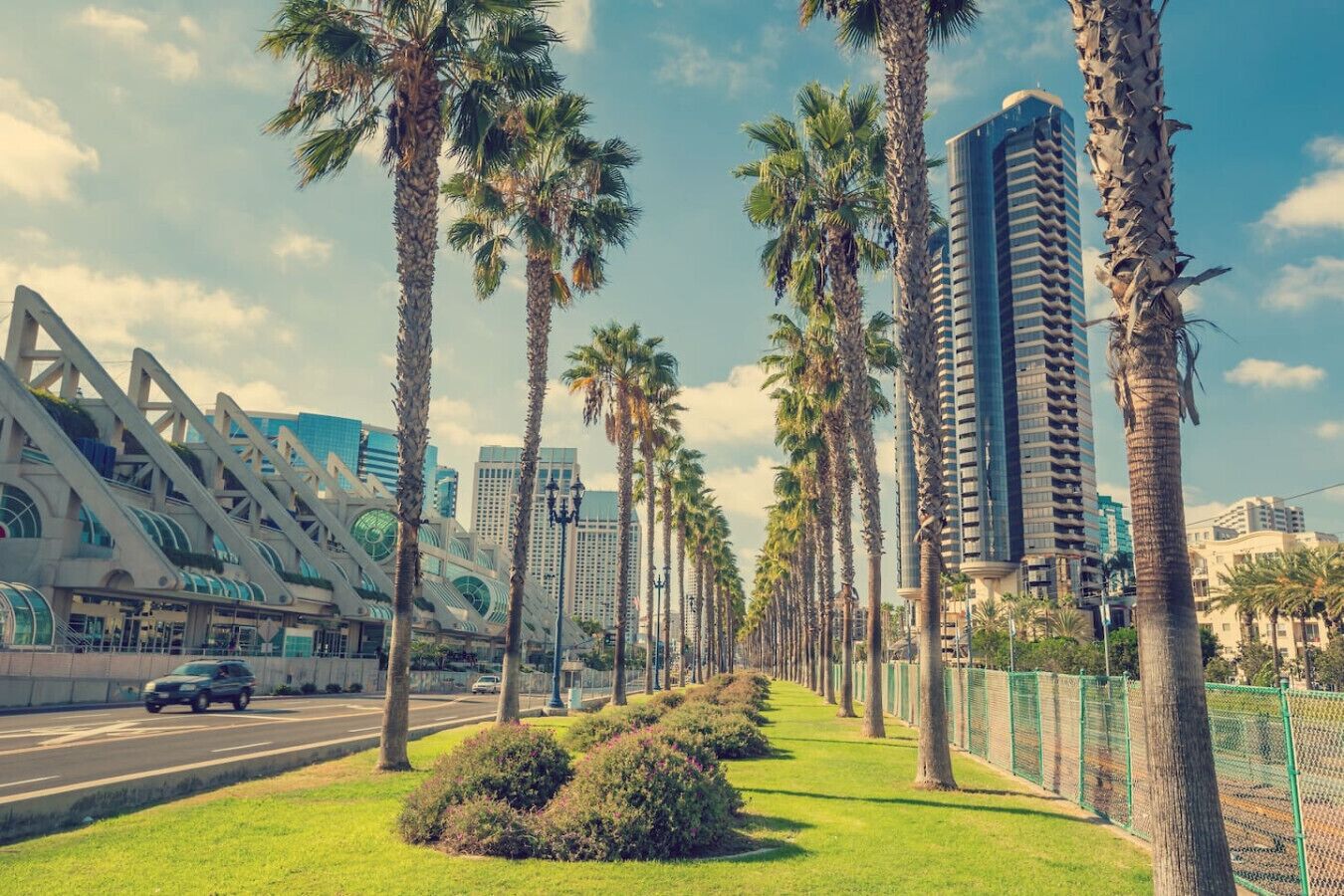 Una calle moderna en el corazón de la ciudad, bordeada de palmeras y rascacielos.