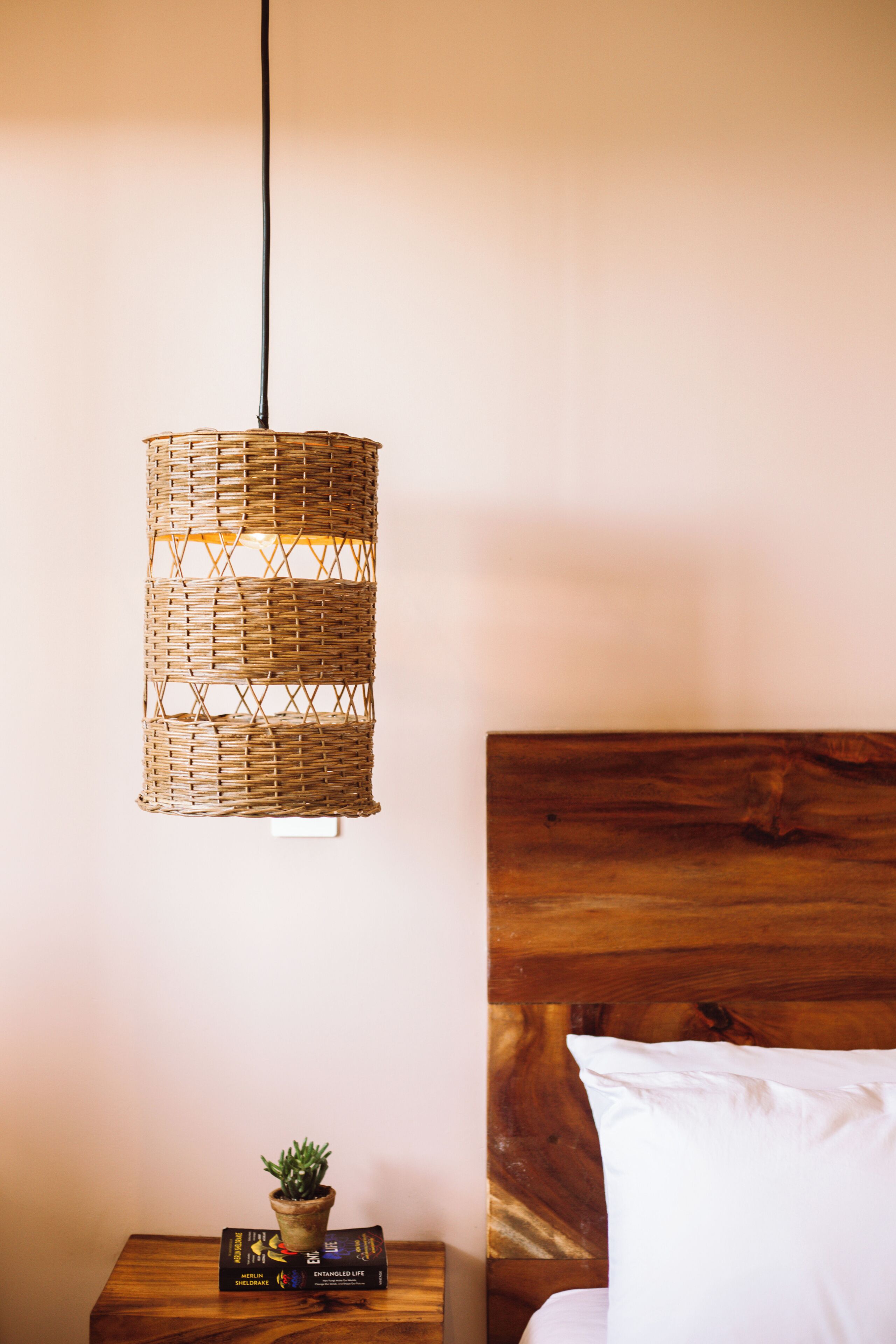 A wicker hanging light fixture, a wooden bedside table with a plant and books, and a wooden headboard with a white pillow.