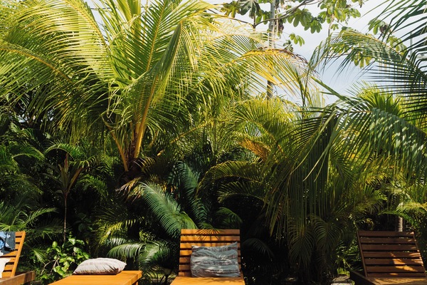 Piscine extérieure, chaises longues