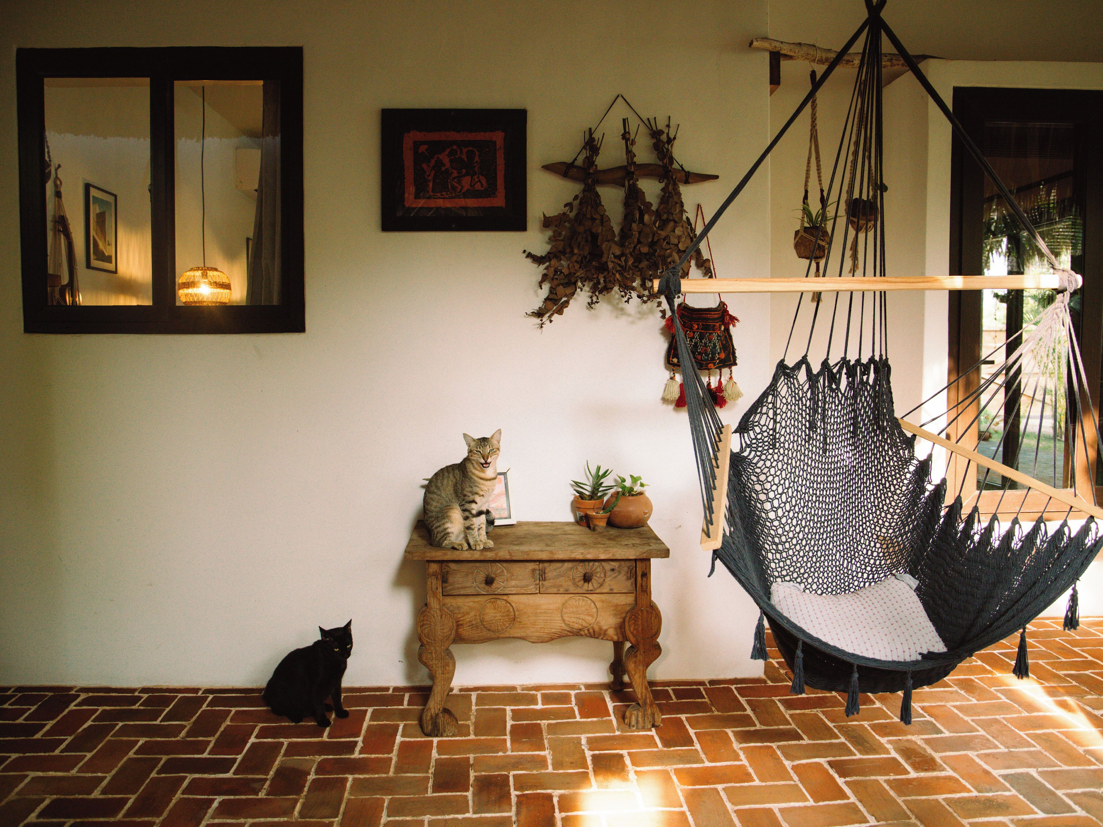 A room with a brick floor, a wooden table with a potted plant, a hammock, and two cats.
