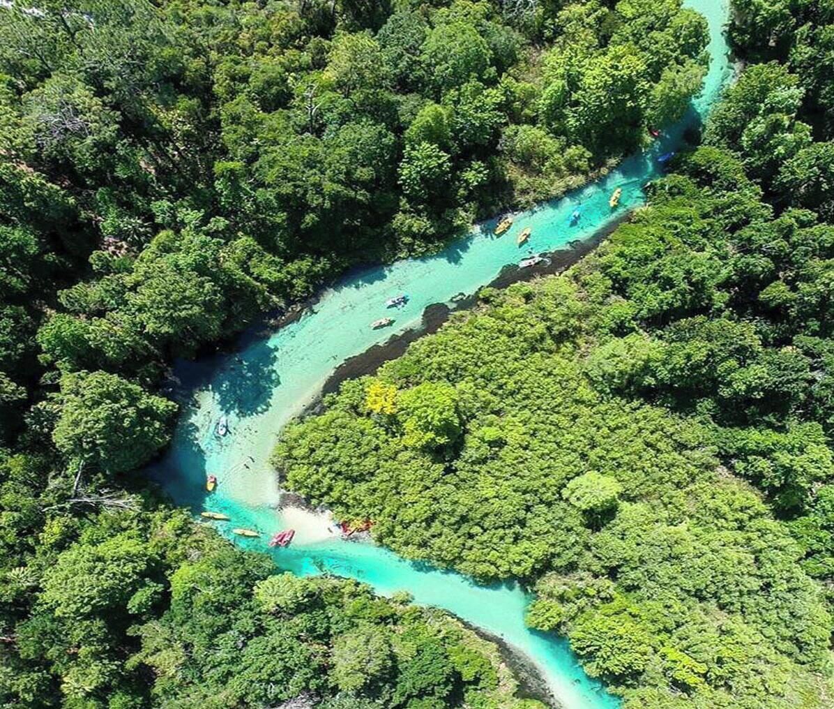 Eine Luftaufnahme eines Flusses, der sich durch einen dichten Wald schlängelt, wobei sich Kanus auf dem Wasser zeigen lassen.
