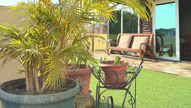 A patio area with a large potted plant, a metal chair, and a small table. - Cozy Modern Studio in Maculusso, Luanda – Central & Secure Location (Luanda)