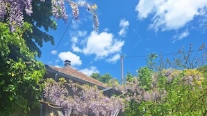 Ett hus med en balkong, omgivet av grönska och lila blommor.
