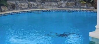 Exotic Paradise Guest House unit 1