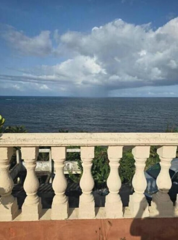 Property grounds - Exotic Paradise Guest House unit 2 (Yabucoa)