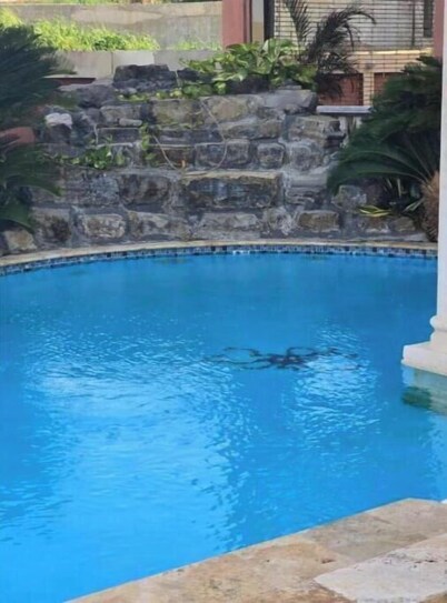 Exotic Paradise Guest House unit 4