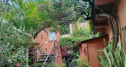 Amazing Oasis 2-bedroom apartment in Centro Oaxaca de Juárez