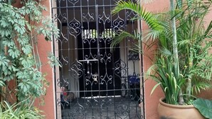 A gated entrance with a wrought iron gate, a potted plant to the right, and a tiled patio area. - Amazing Oasis 2-bedroom apartment in Centro Oaxaca de Juárez (Oaxaca de Juárez)