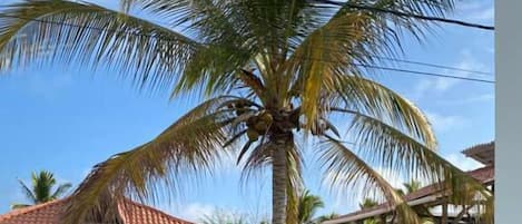 Single Room | Desk, free WiFi, bed sheets