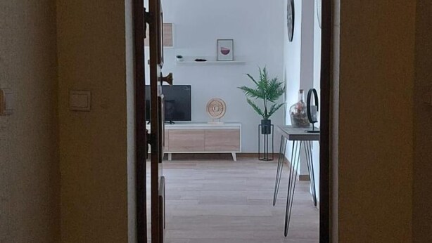 Ein Durchgang zu einem Wohnzimmer mit Sofa, Couchtisch und Zimmerpflanze.
