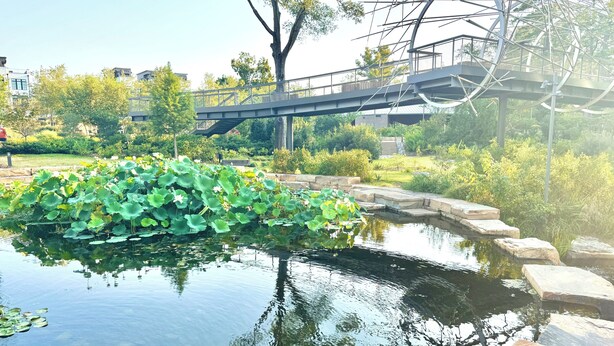 A pond with lily pads and a stone border. - Large Cary Family Home-3 King Beds, Fenced Yard, 3 full bathrooms (Cary)