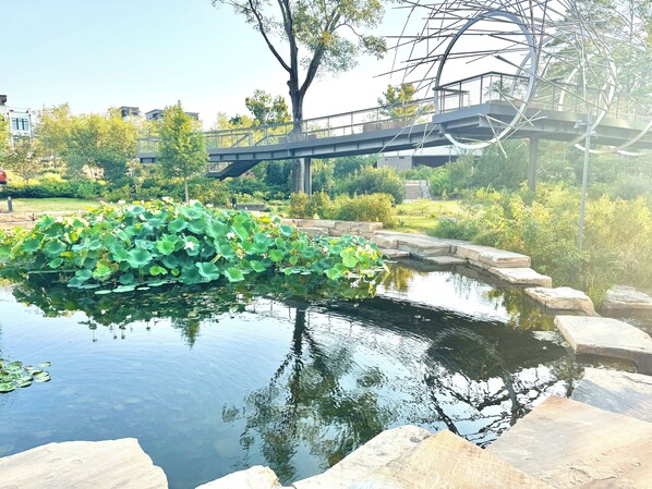 Terrain de l’hébergement 