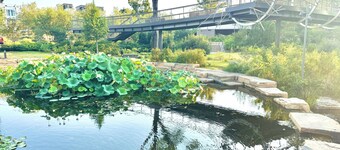 Large Cary Family Home-3 King Beds, Fenced Yard, 3 full bathrooms