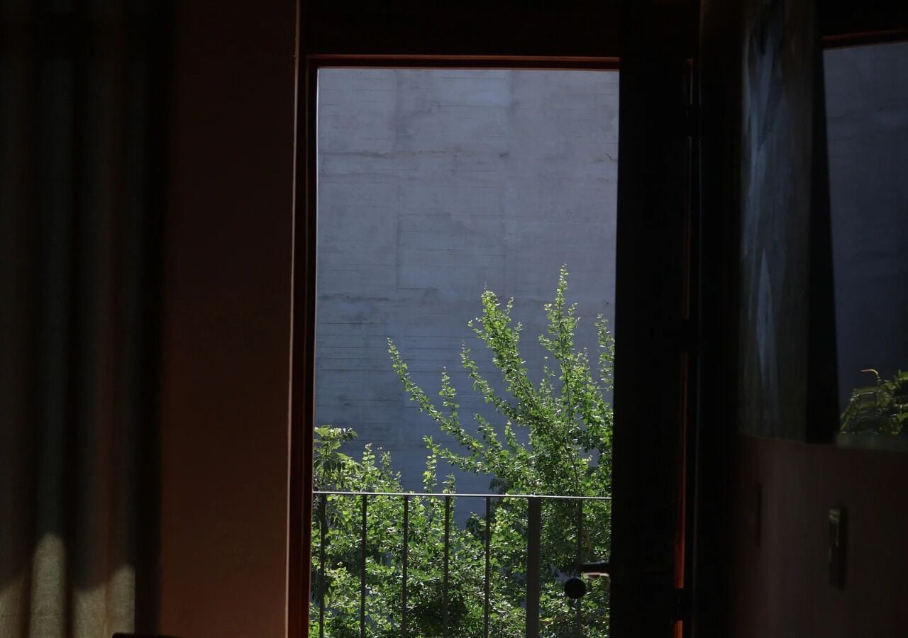 A view through a window with a metal railing, a concrete wall, and green foliage outside.