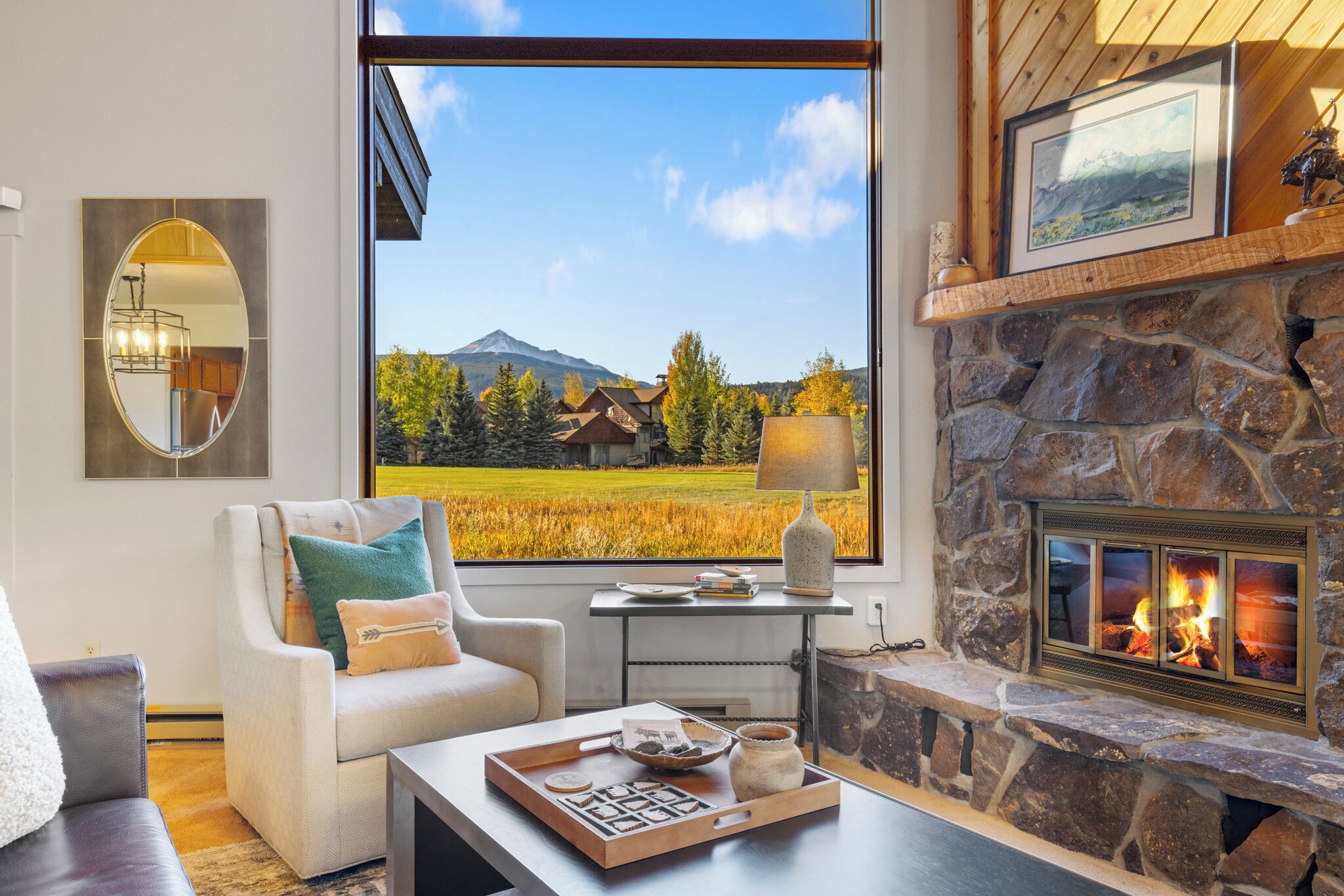 Smart TV, chimenea y libros 