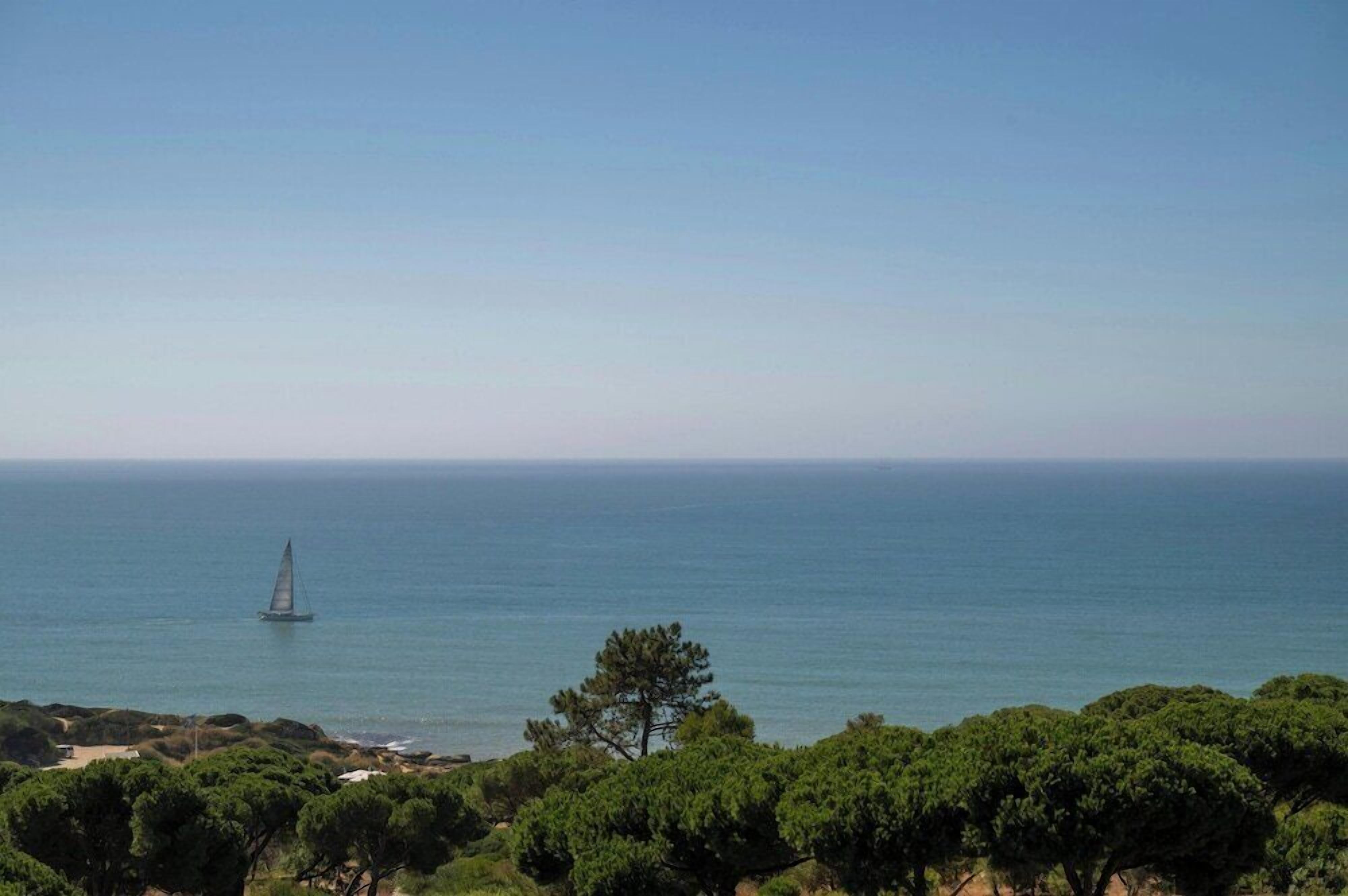 A coastal landscape with a sailboat on the water, trees in the foreground, and a clear sky.