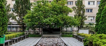 Piątkowska Comfort Apartment