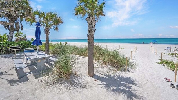 Une plage avec des palmiers, un parasol bleu et une table en béton.