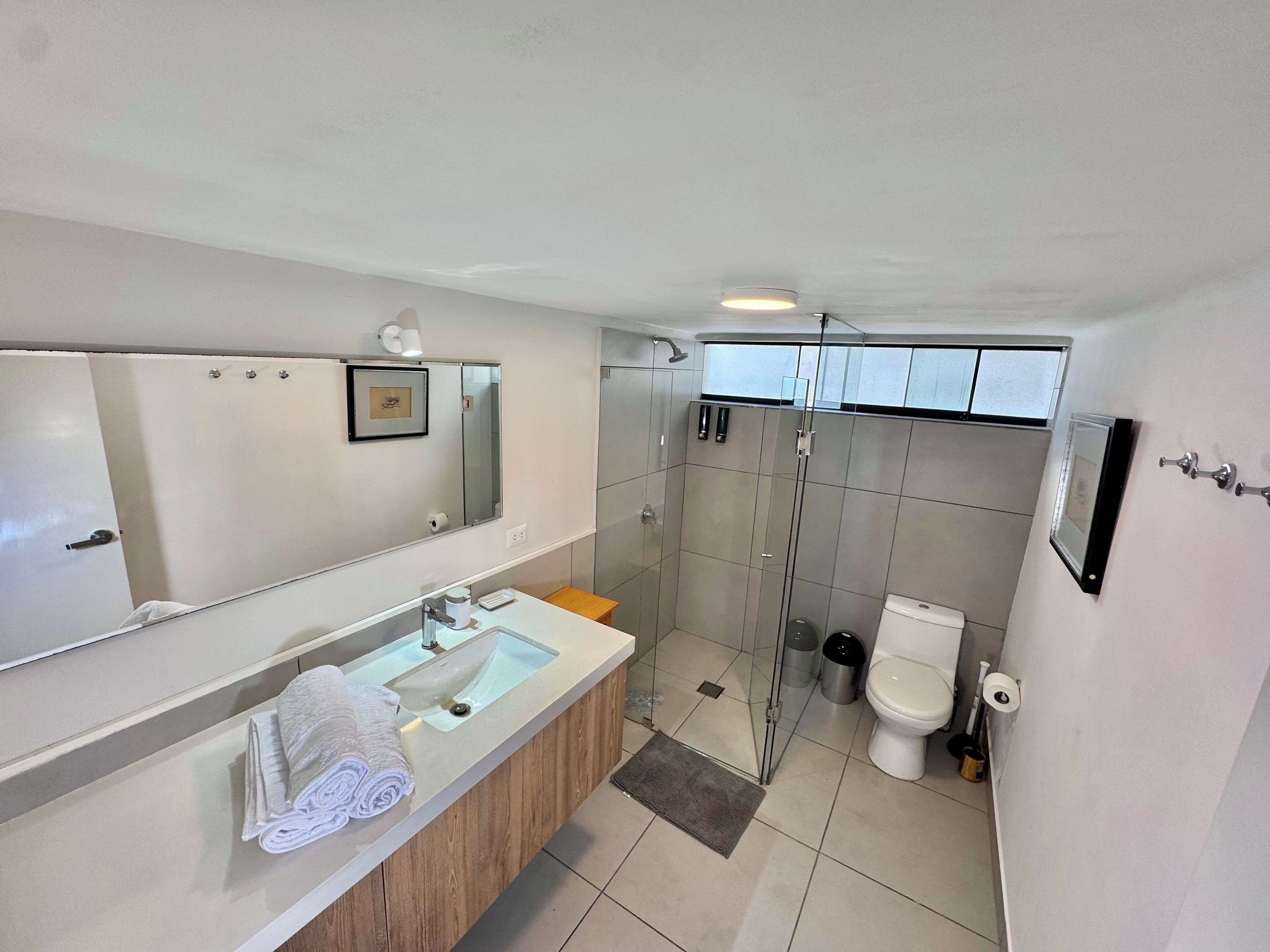 Hair dryer, towels, soap, toilet paper
