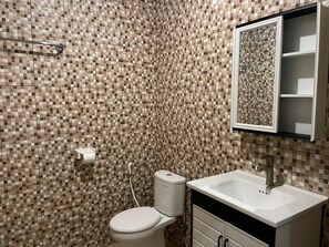 Shower, towels, toilet paper