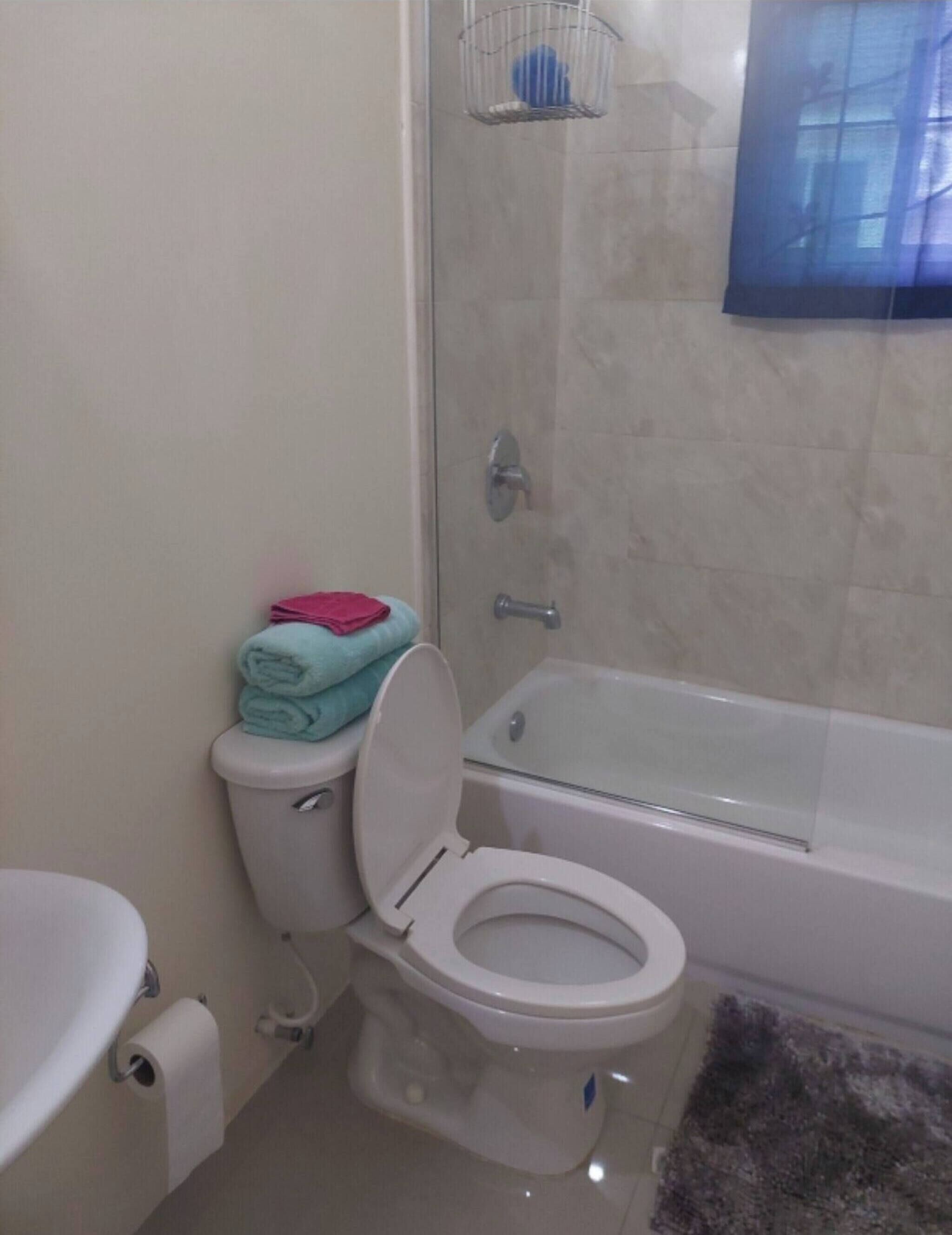 Un baño con inodoro, bidé y ducha.