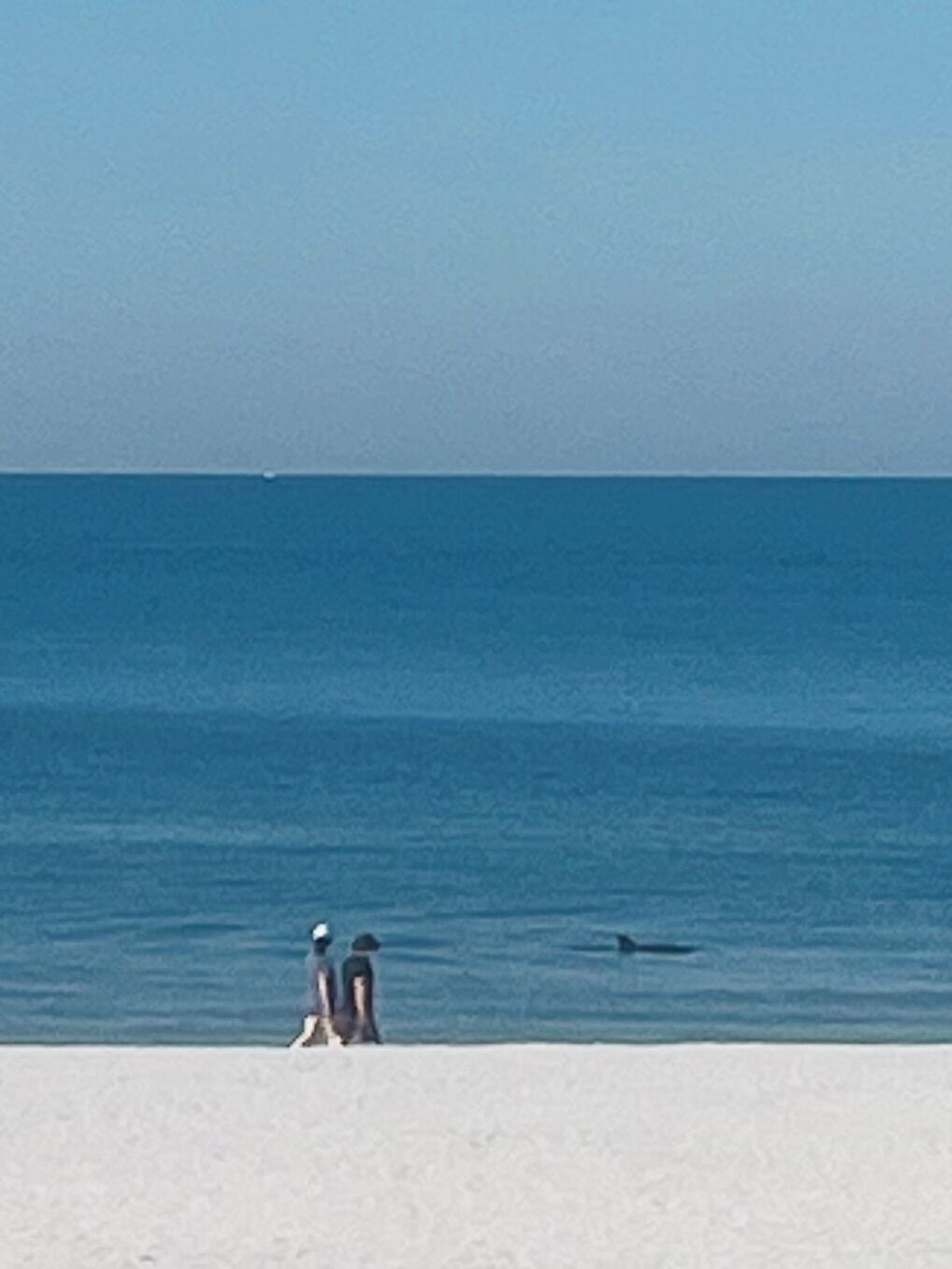 A beach with a clear view of the ocean and a distant whale.