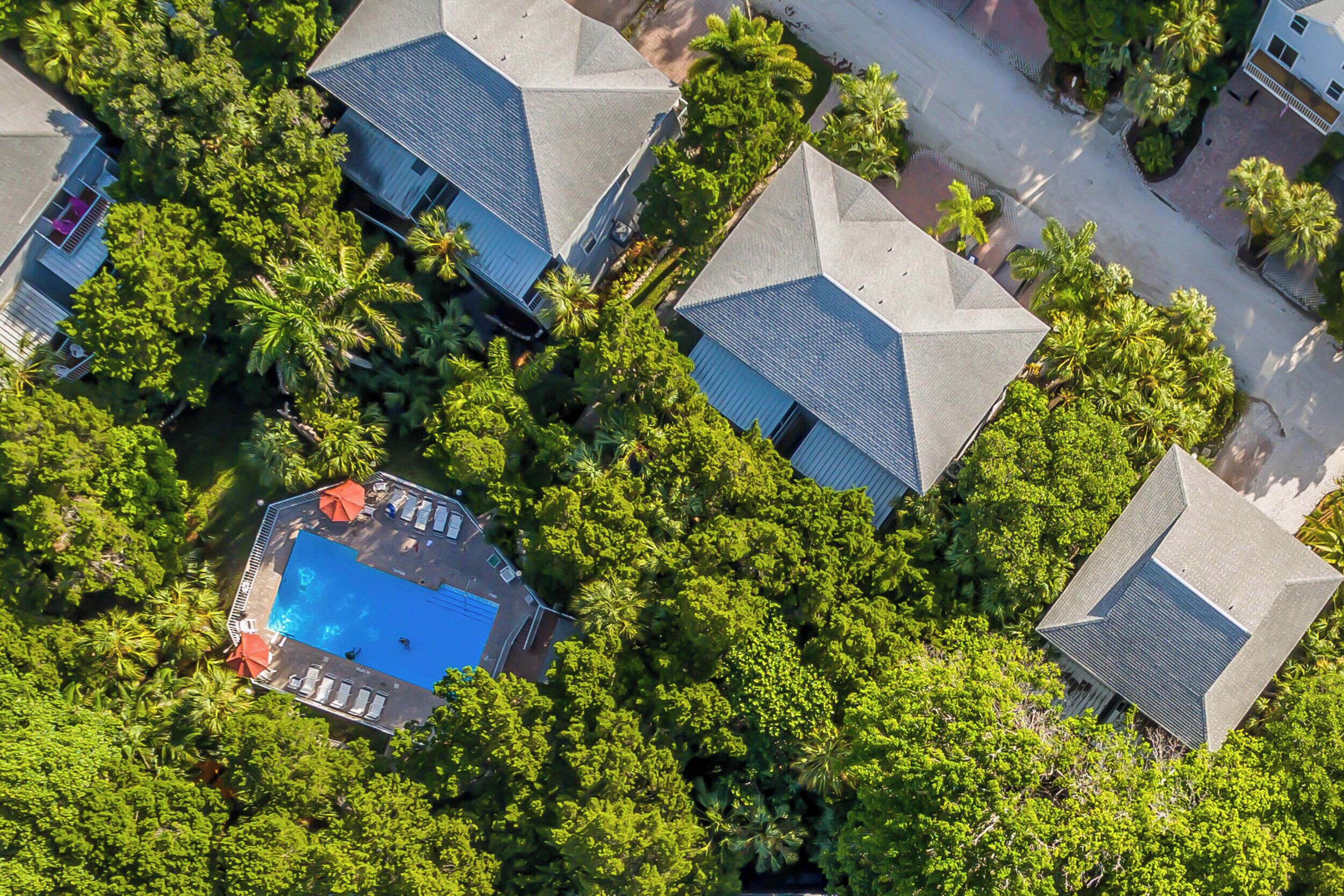 Vista aérea de una zona residencial con varias casas, piscina y abundante vegetación.