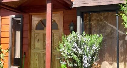 CABIN IN Neltume huilo huilo Chile (With all services).