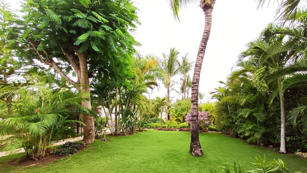 A well-maintained garden with a variety of tropical plants and a neatly trimmed lawn. - Tracadero Marina 26 Apt, 3 Hab. (Dominicus)