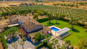 Vue aérienne d’une propriété comprenant une piscine, une grande maison avec un toit en tuiles et des oliveraies environnantes.