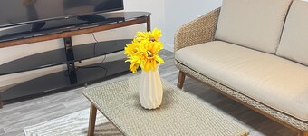 Welcoming 2-bedrooms cute house in Vestal.