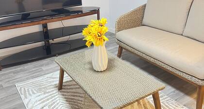 Welcoming 2-bedrooms cute house in Vestal.