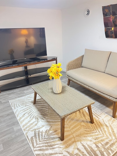 Welcoming 2-bedrooms cute house in Vestal.