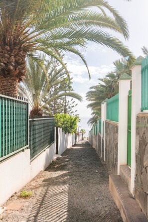 A narrow alley lined with palm trees and a white fence, leading towards a body of water.