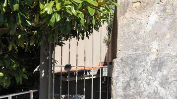 DĂ©tail de lâextĂ©rieur