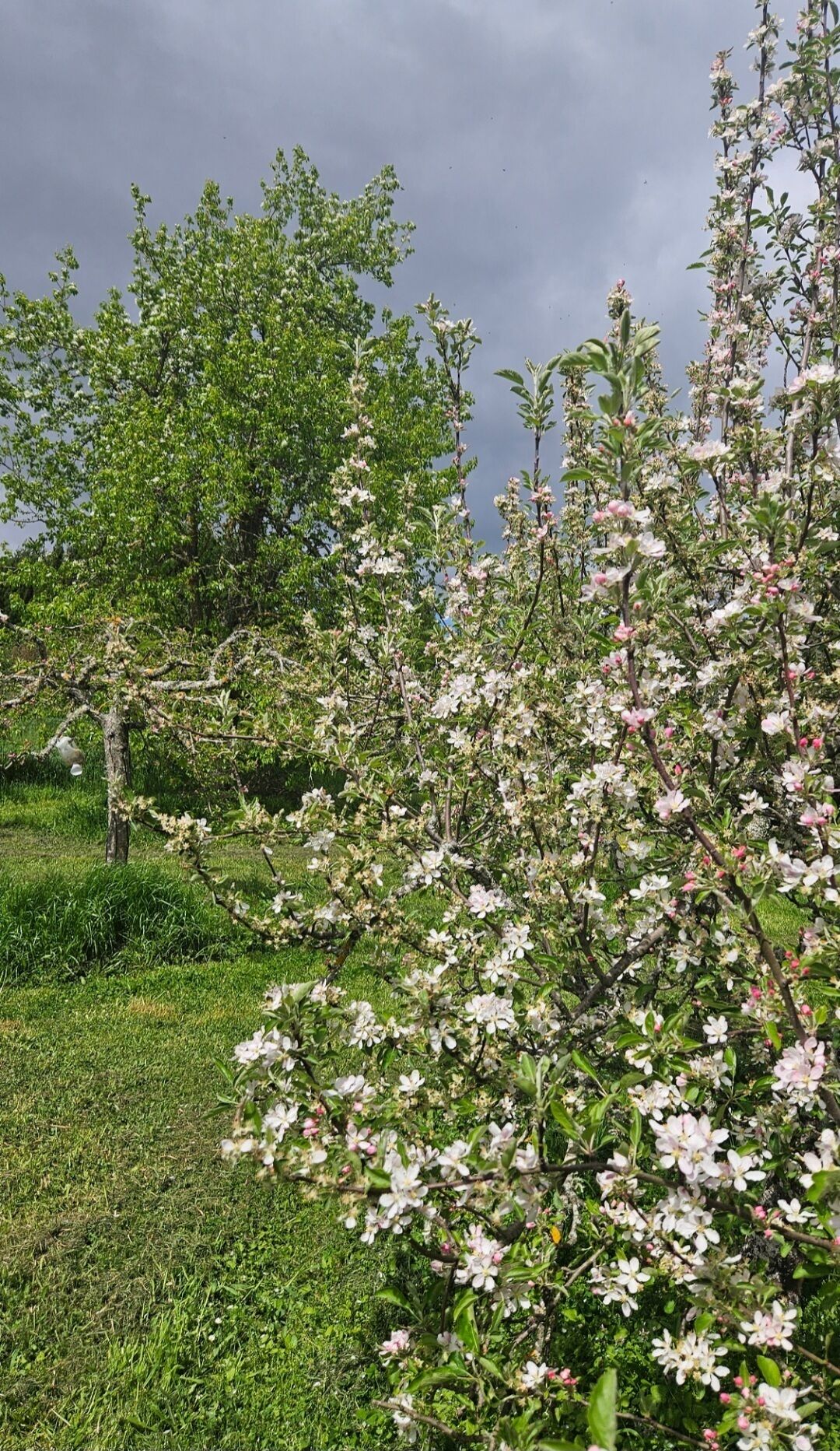المنطقة المحيطة بالمنشأة