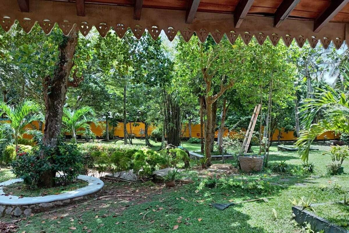 Un exuberante jardín con diversos árboles y plantas, un césped bien cuidado y una estructura de pérgola de madera.