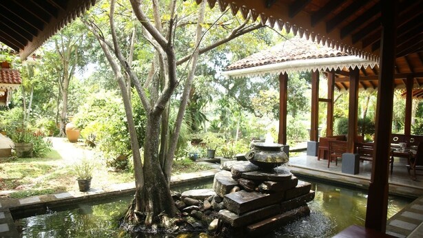 Un jardín tranquilo con un árbol central, una fuente escalonada y un área de estar cubierta.