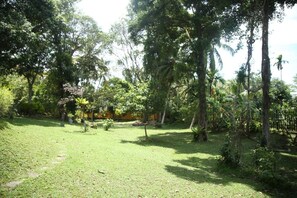 Vườn