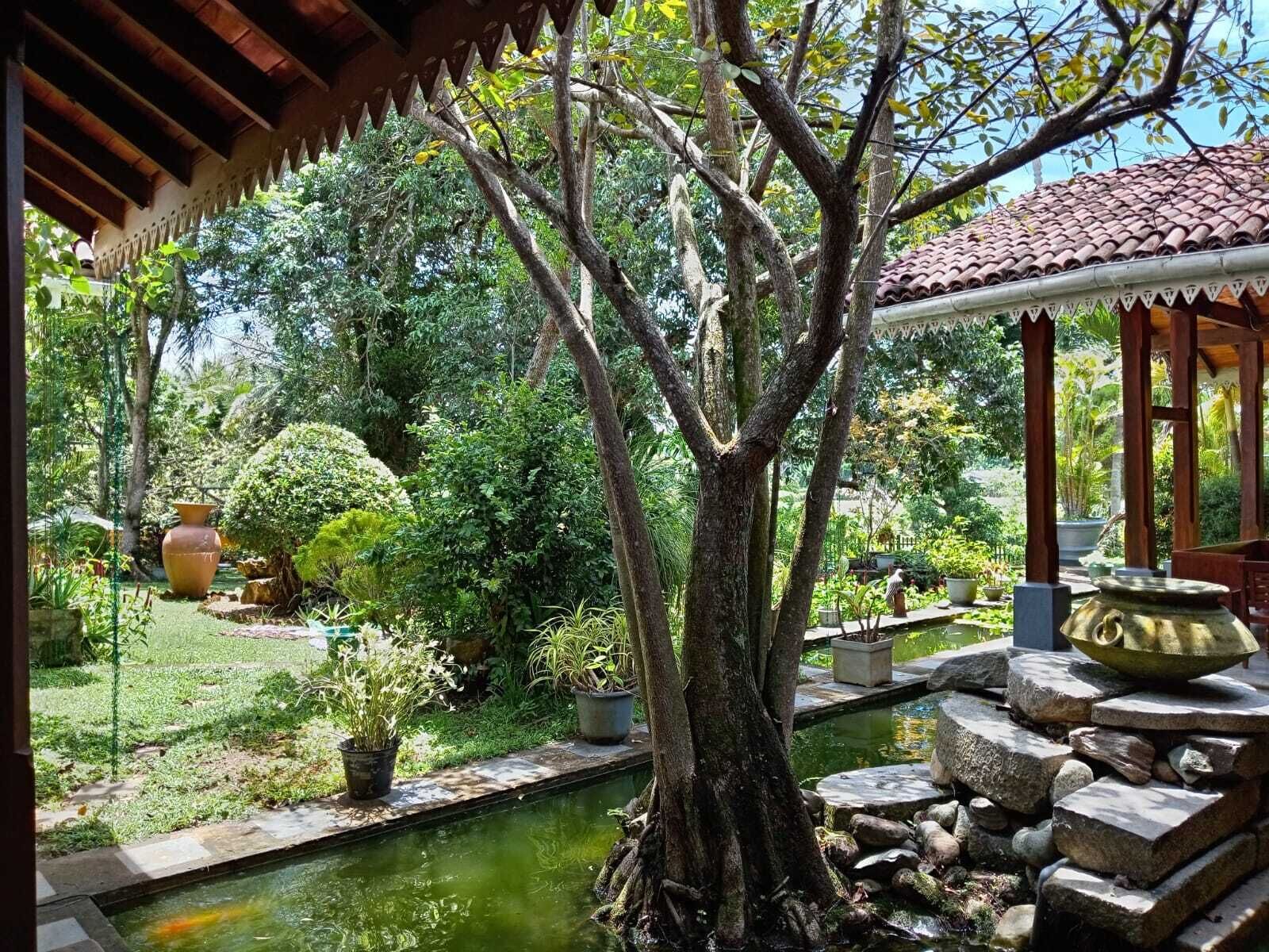 Comfort suite, uitzicht op tuin | Een strijkplank/strijkijzer, gratis wifi, beddengoed, rolstoeltoegang