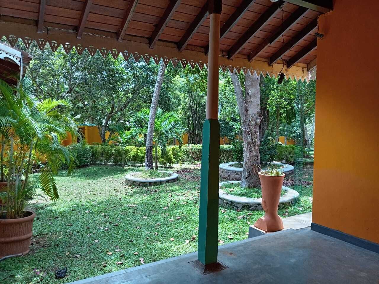 A covered outdoor area with a concrete floor, surrounded by greenery and trees.