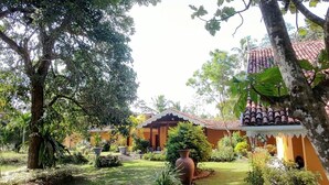 Un patio con un edificio tradicional, rodeado de abundante vegetación y un árbol grande.