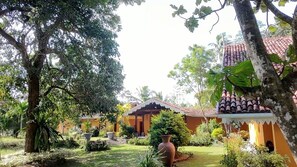Quang cảnh vườn