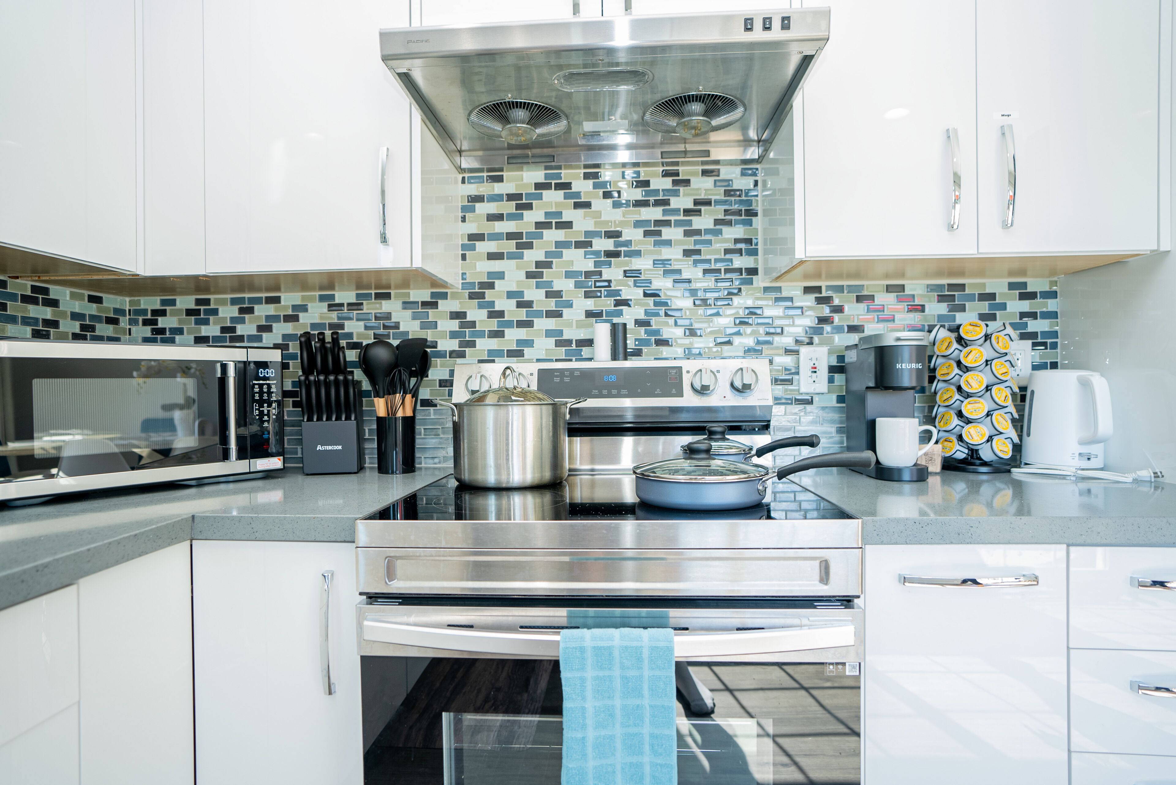 Microwave, oven, stovetop, dishwasher