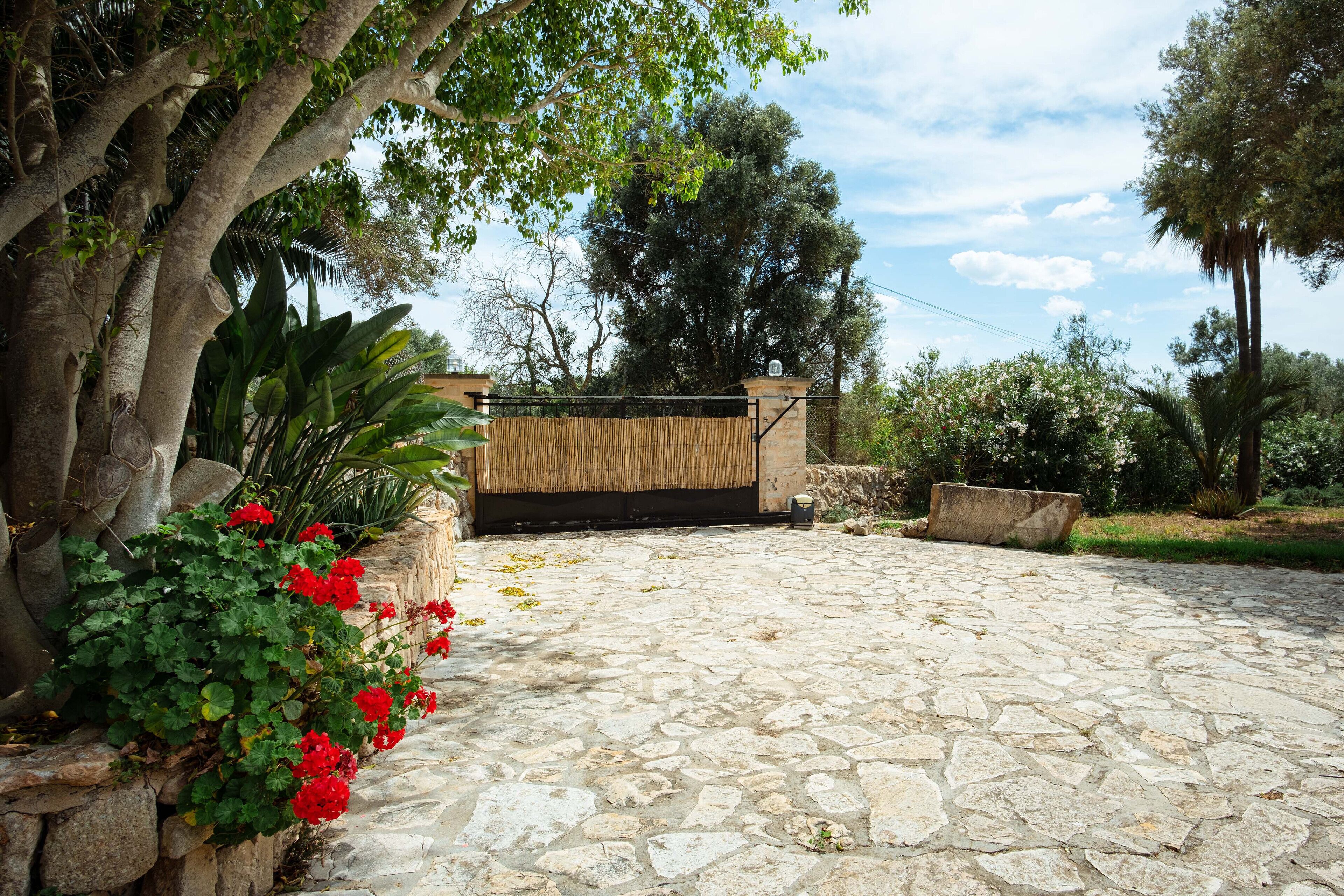 Áreas de la propiedad