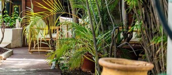 Saline - The beach bungalow