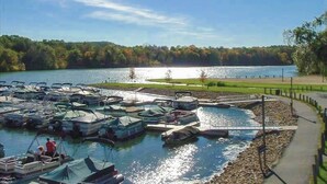 A marina with boats docked, a clear sky, and a lake surrounded by trees.